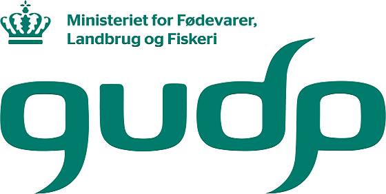 Strengthen your GUDP application with Nordic Innovators' expertise